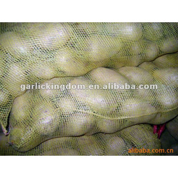 Sell 2012 new crop holland potato